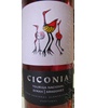 10 Herdade Sao Miguel Ciconia (Alexandre Relvas) 2010